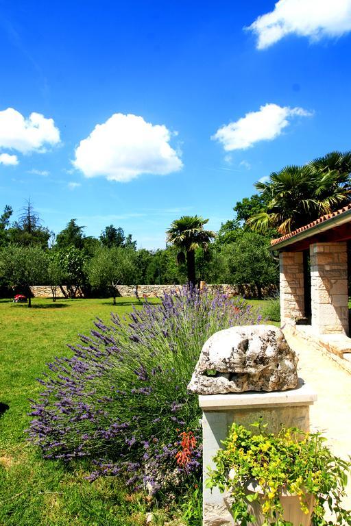 Sveti Lovreč Pazenatički Korsa Apartment מראה חיצוני תמונה